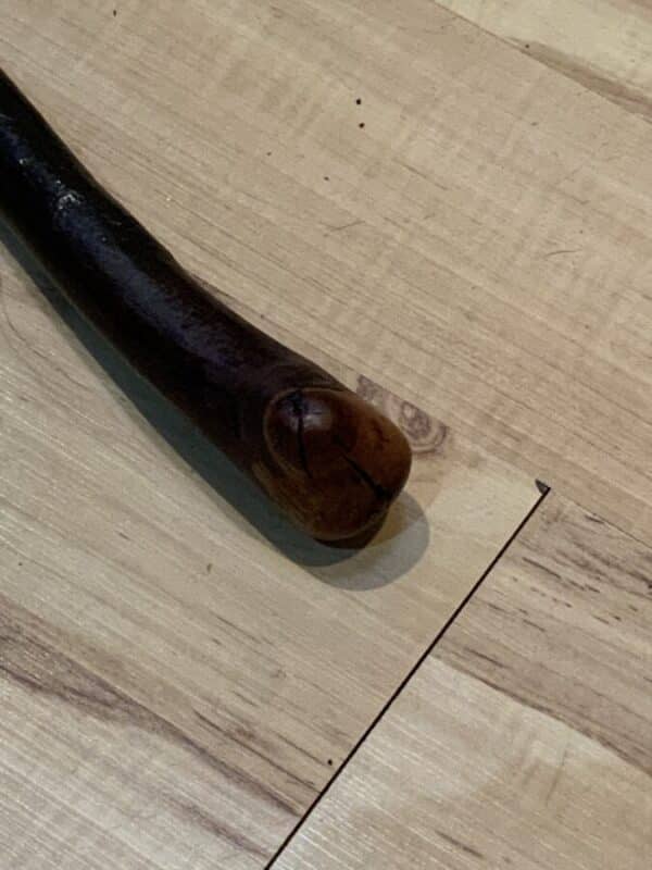 Irish Blackthorn walking stick sword stick - Image 23