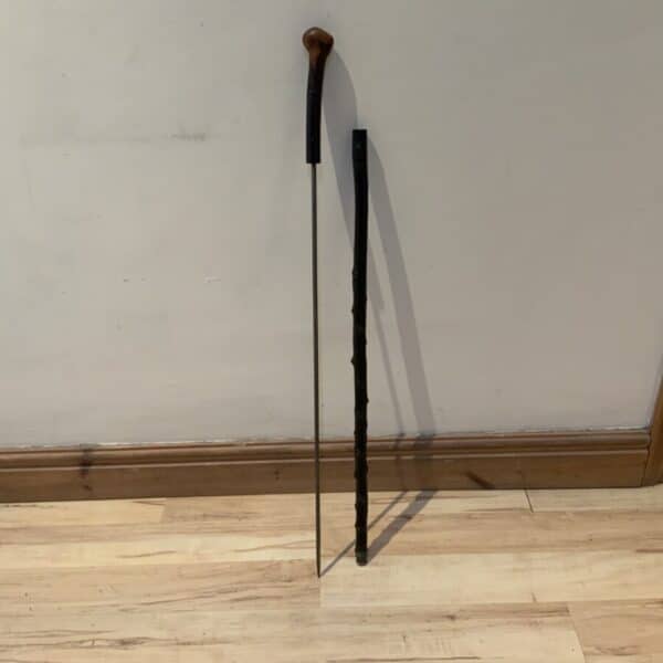 Irish Blackthorn walking stick sword stick Miscellaneous 3