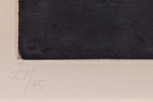 Amadeo Gabino - Abstract - Image 10
