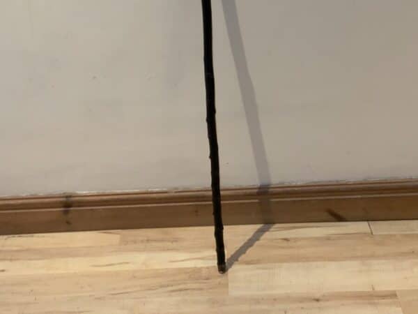 Irish Blackthorn walking stick sword stick - Image 3