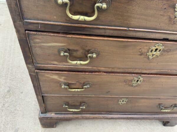 Brush Slide Georgian Mahogany Chest Of Drawers - Image 16
