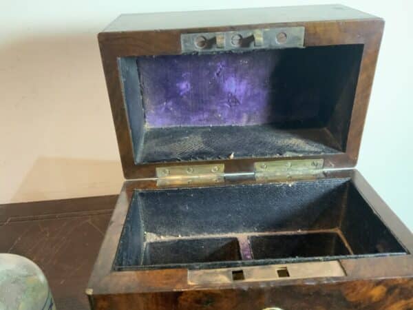 Gentleman’s Burr Walnut veneer Drinks Box. - Image 8