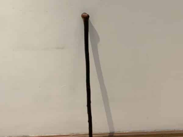 Irish Blackthorn walking stick sword stick Miscellaneous 19