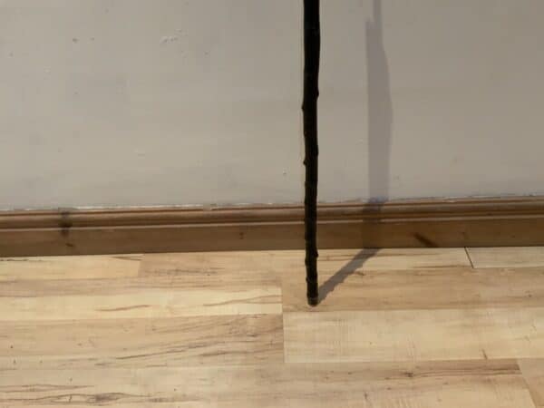 Irish Blackthorn walking stick sword stick - Image 5