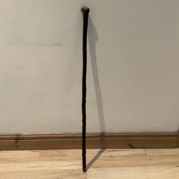 Irish Blackthorn walking stick sword stick Miscellaneous 4