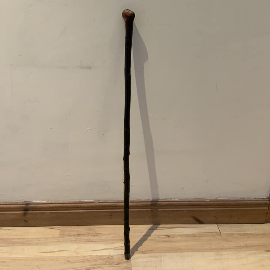 IRISH BLACKTHORN WALKING STICK