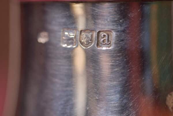 Silver Sugar Shaker SAI2607 - Image 9