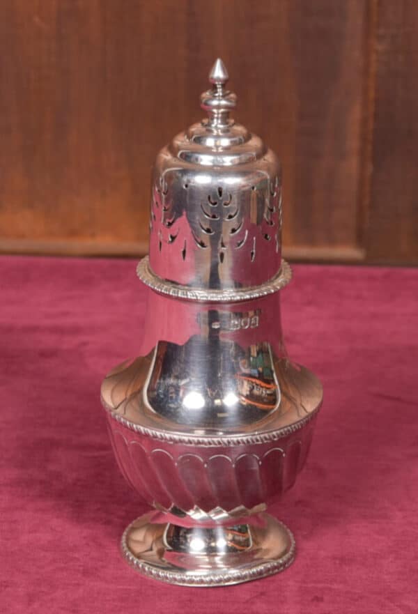 Silver Sugar Shaker SAI2607