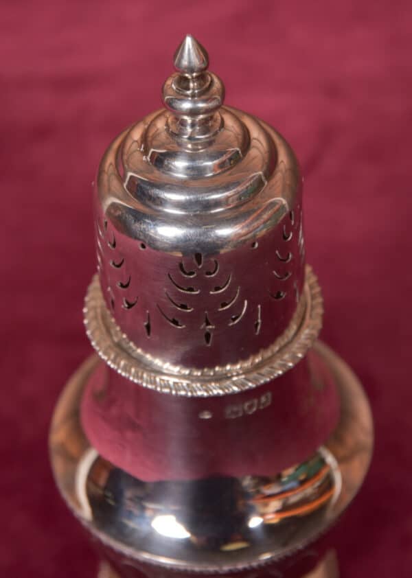 Silver Sugar Shaker SAI2607 - Image 3