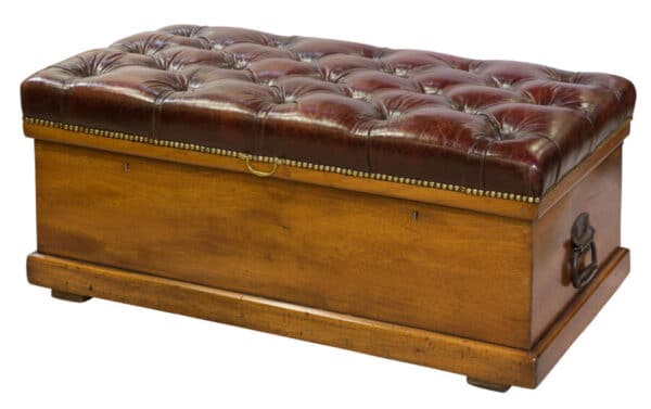 A 19thCentury Leather Top Trunk Antique Furniture 3