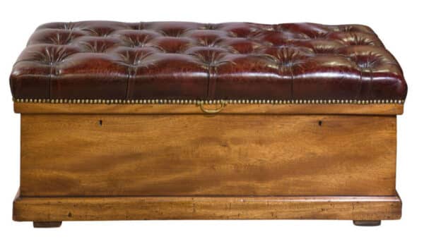 A 19thCentury Leather Top Trunk Antique Furniture 4
