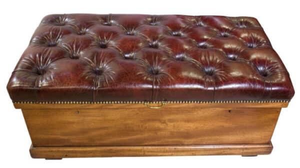 A 19thCentury Leather Top Trunk Antique Furniture 5