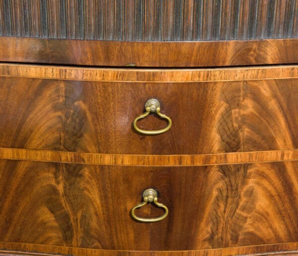 A Fine and Rare George III Serpentine Fronted Commode - Image 6