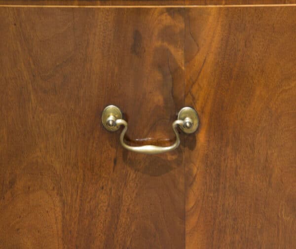A Fine and Rare George III Serpentine Fronted Commode - Image 4