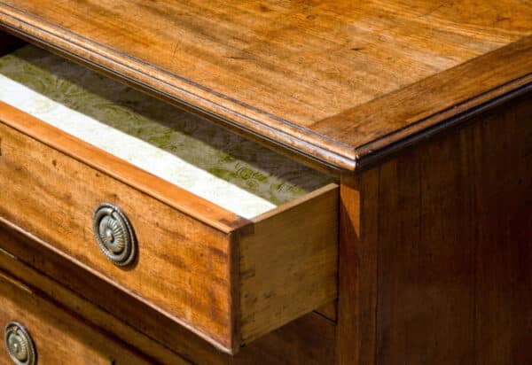 A Pretty Small early 19thCentury Mahogany Chest of Drawers - Image 3