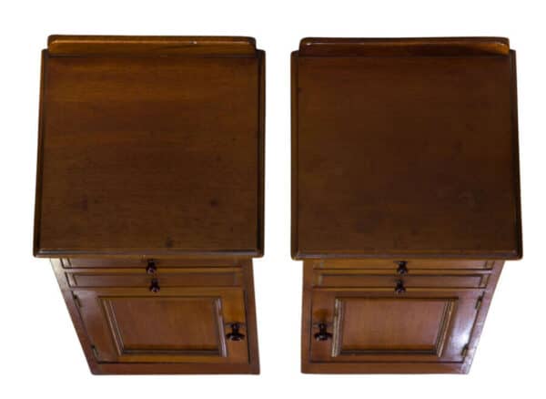 Pair of mahogany bedside cabinets c1880 - Image 4