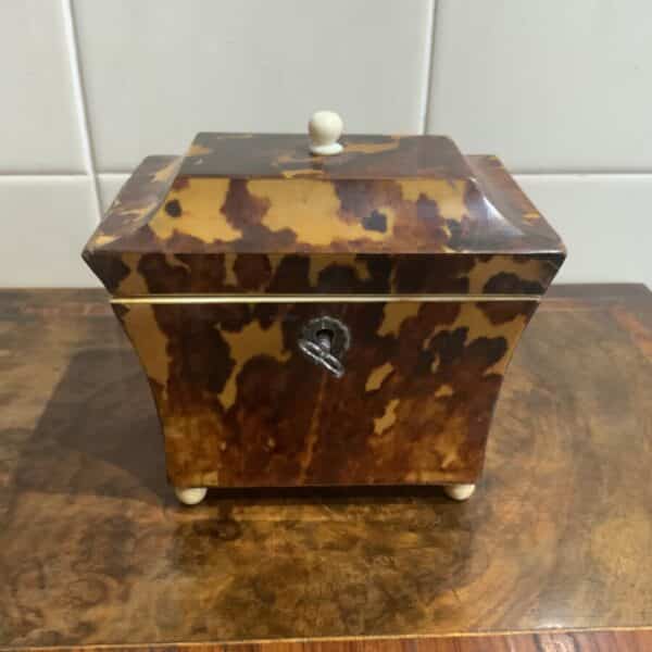 Tea Caddy in Tortoise shell veneer Antique Boxes 4