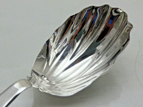 Georgian Sterling Solid Silver Tea Caddy Spoon 1813 Tea Leaf Design - Image 5