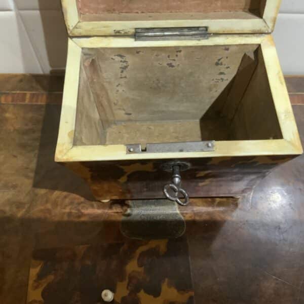 Tea Caddy in Tortoise shell veneer Antique Boxes 11