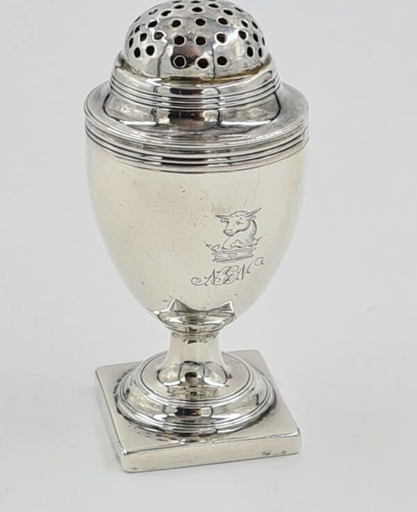 Georgian Antique Solid Silver Pounce Pot Pepper 1807 Antique Silver Antique Silver 3