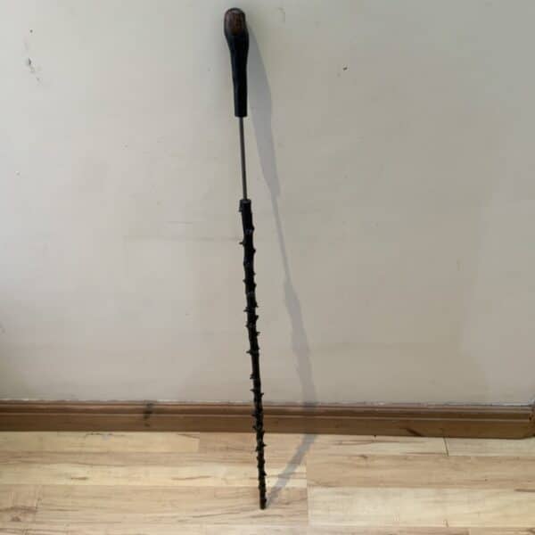 The Best Irish Blackthorn walking stick sword stick Miscellaneous 10