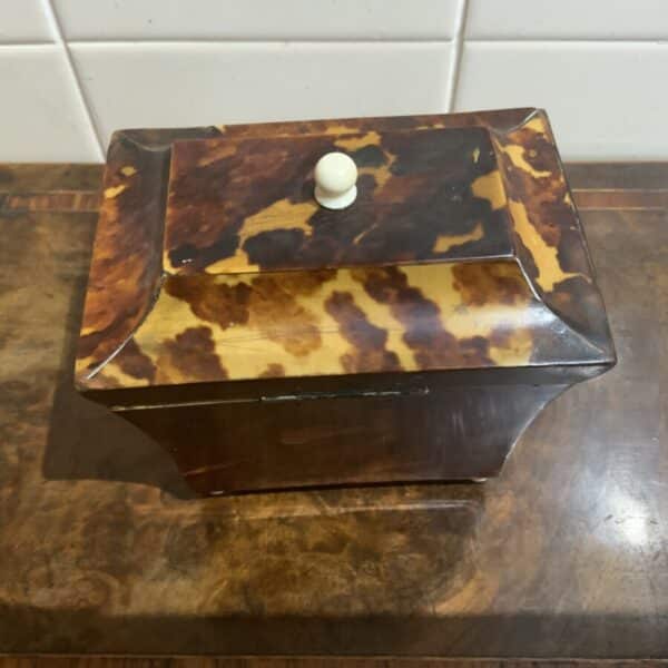 Tea Caddy in Tortoise shell veneer Antique Boxes 7
