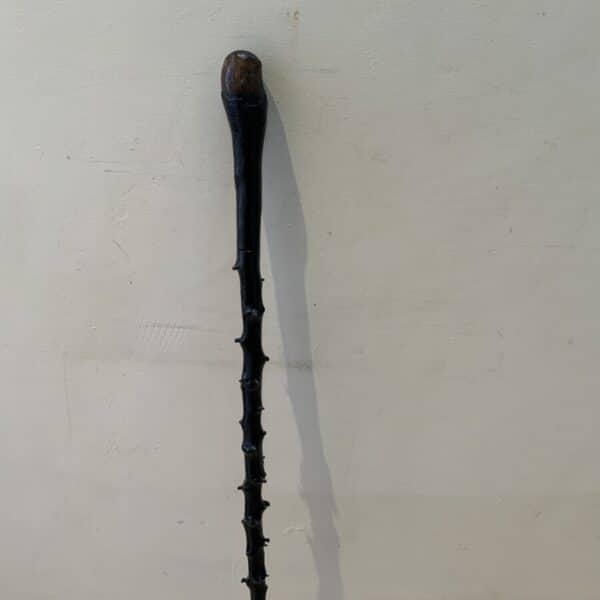 The Best Irish Blackthorn walking stick sword stick Miscellaneous 5