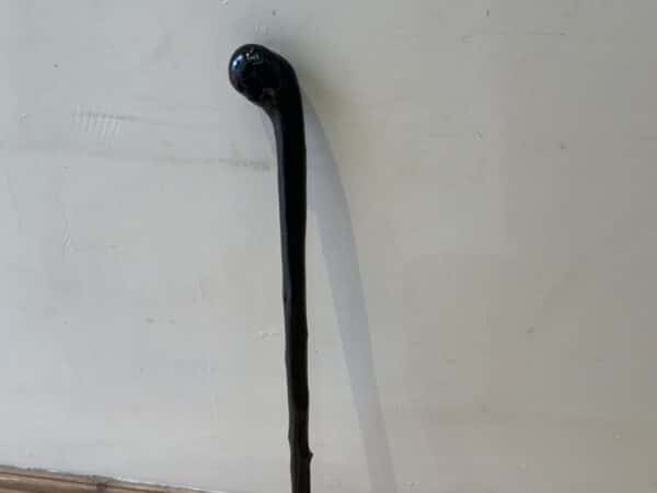 Irish Blackthorn walking stick sword stick Miscellaneous 6