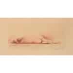 Jean Auguste Vyboud – Framed Nude Etching drawing Antique Art