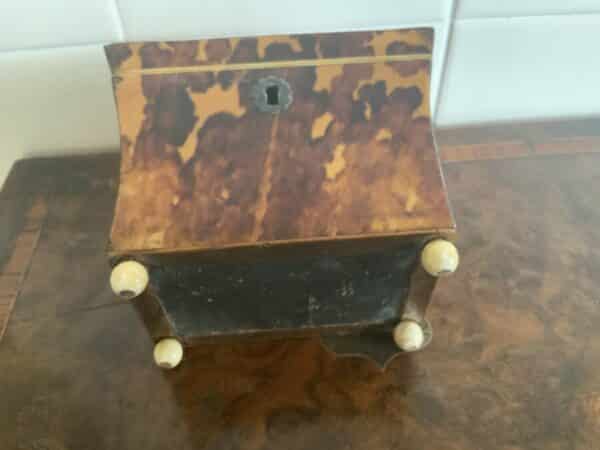 Tortoise shell tea caddy Antique Boxes 12