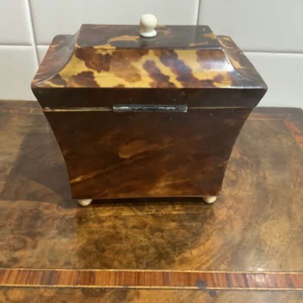 Tea Caddy in Tortoise shell veneer Antique Boxes 6