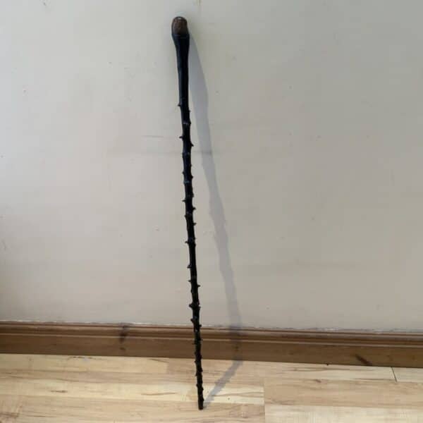 The Best Irish Blackthorn walking stick sword stick Miscellaneous 4