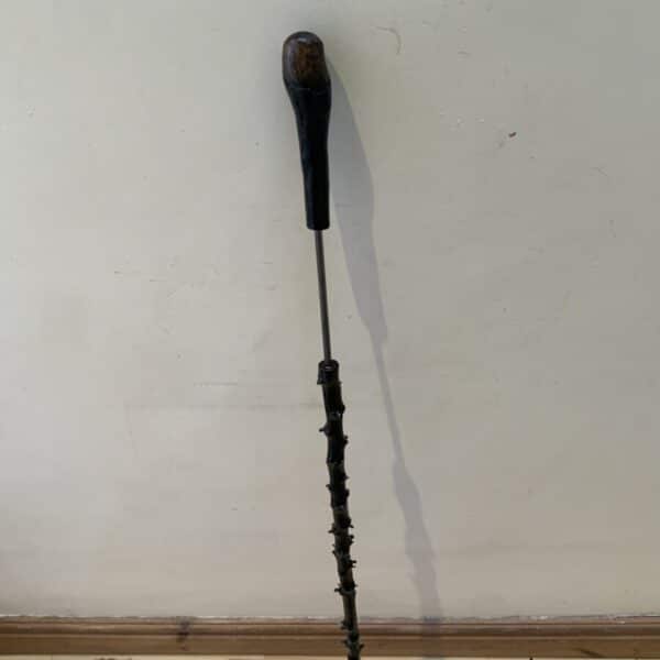 The Best Irish Blackthorn walking stick sword stick Miscellaneous 9