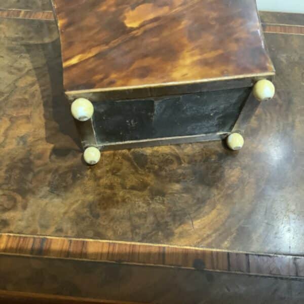 Tea Caddy in Tortoise shell veneer Antique Boxes 12