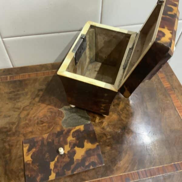 Tea Caddy in Tortoise shell veneer Antique Boxes 10