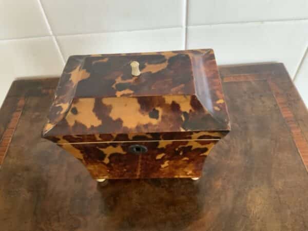 Tortoise shell tea caddy Antique Boxes 4