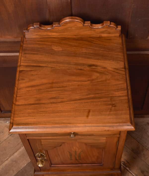 Art Nouveau Walnut Bedside Cabinet / Pot Cupboard SAI2646 Antique Cupboards 6