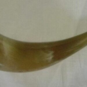 ANIMAL HORN COATED WITH SILVER Antique Collectibles
