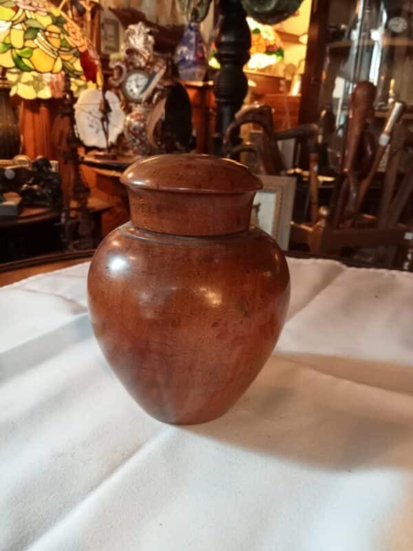 Georgina Tea Caddy
