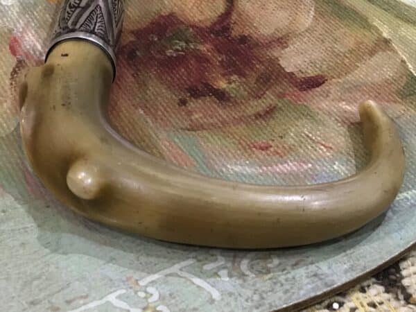 Gentleman’s walking stick sword horn handle with silver collar - Image 26