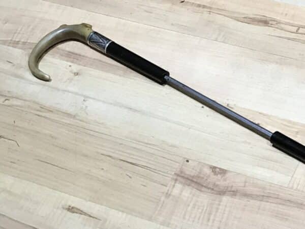 Gentleman’s walking stick sword horn handle with silver collar Miscellaneous 13