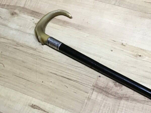 Gentleman’s walking stick sword horn handle with silver collar Miscellaneous 7