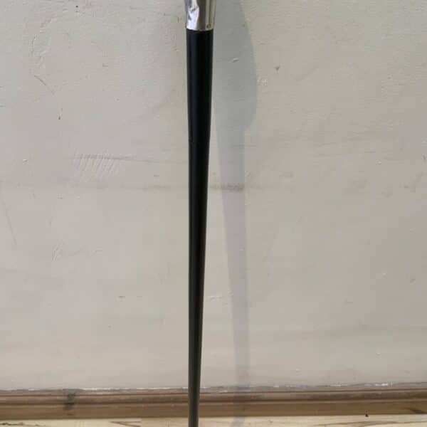 Gentleman’s walking stick sword stick with silver handle Miscellaneous 7