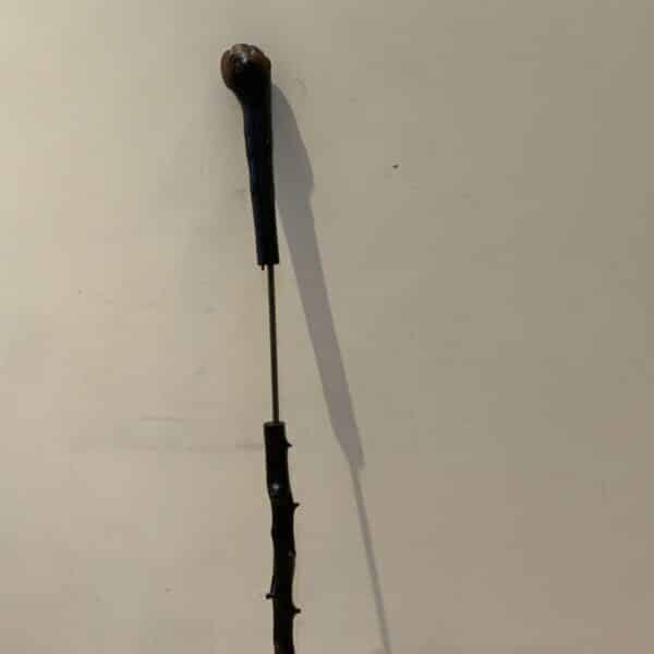 Irish Blackthorn walking stick sword stick Miscellaneous 11
