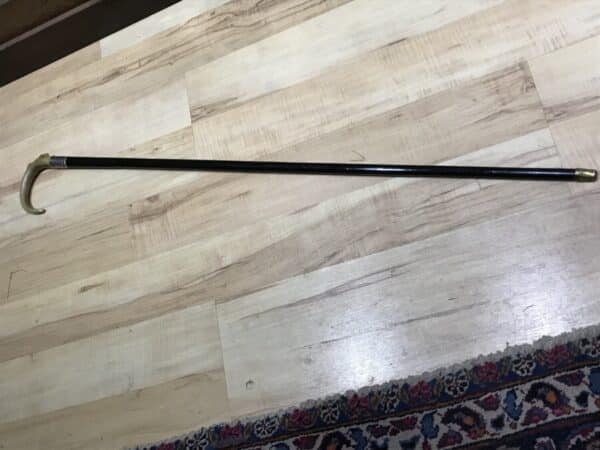 Gentleman’s walking stick sword horn handle with silver collar - Image 6