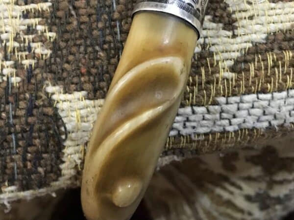 Gentleman’s walking stick sword horn handle with silver collar - Image 30