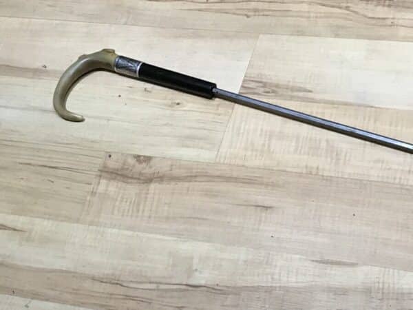 Gentleman’s walking stick sword horn handle with silver collar Miscellaneous 21