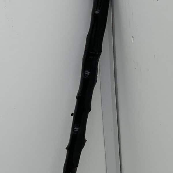 Irish Blackthorn walking stick sword stick the Finest Miscellaneous 11