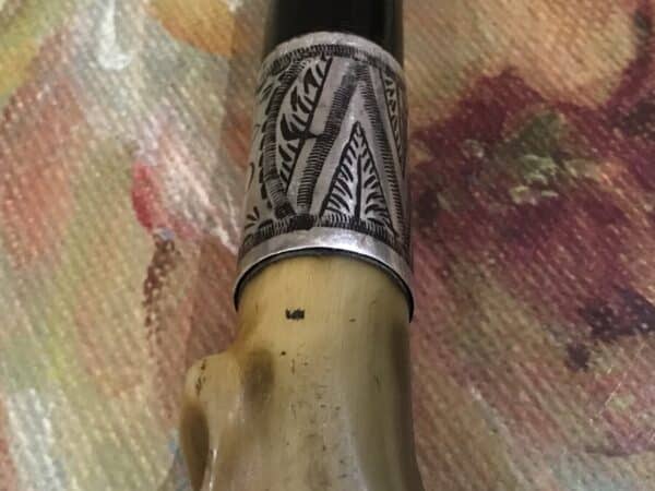 Gentleman’s walking stick sword horn handle with silver collar - Image 28
