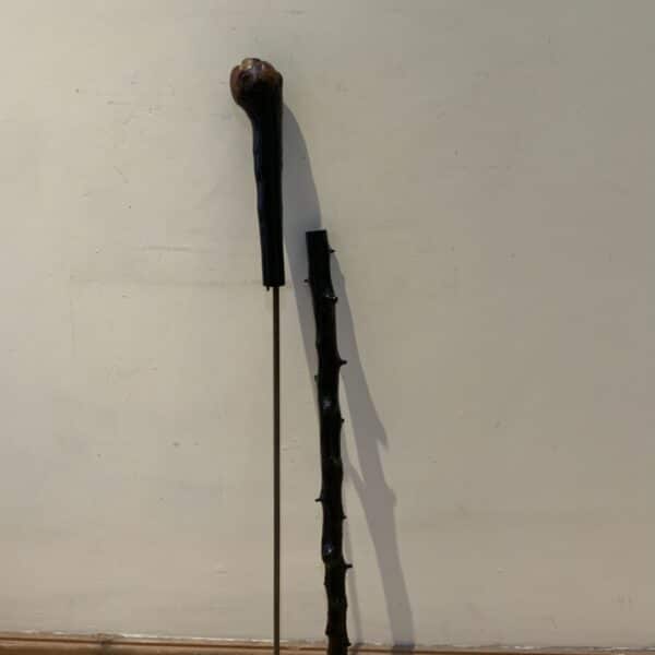 Irish Blackthorn walking stick sword stick Miscellaneous 16